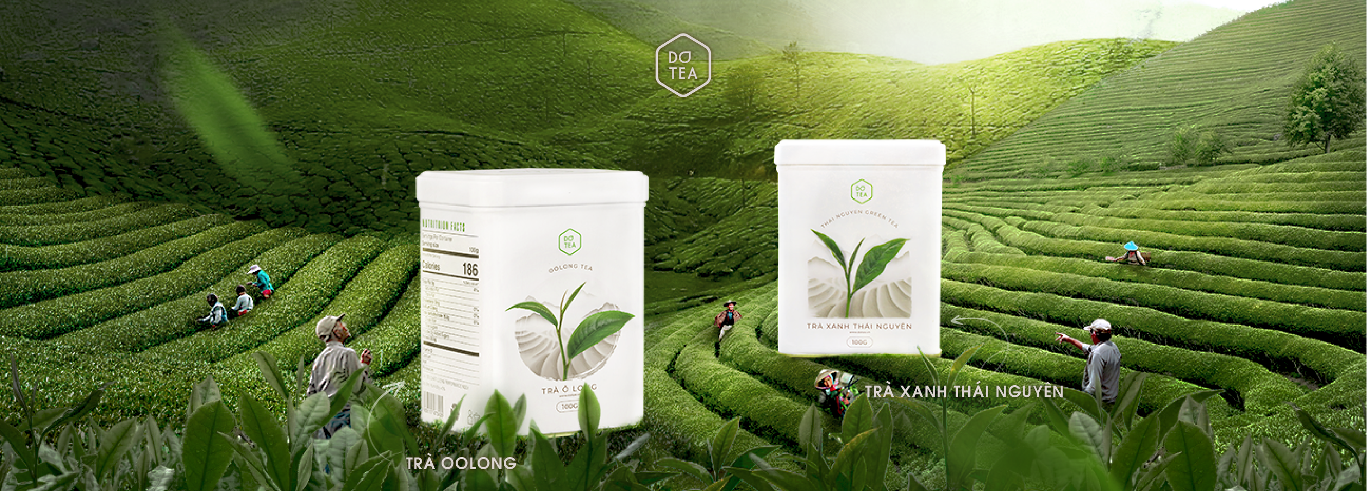 Phẩm trà thượng hạng