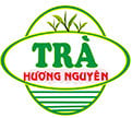 logo trahuongnguyencom