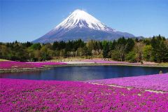 Địa điểm du lịch