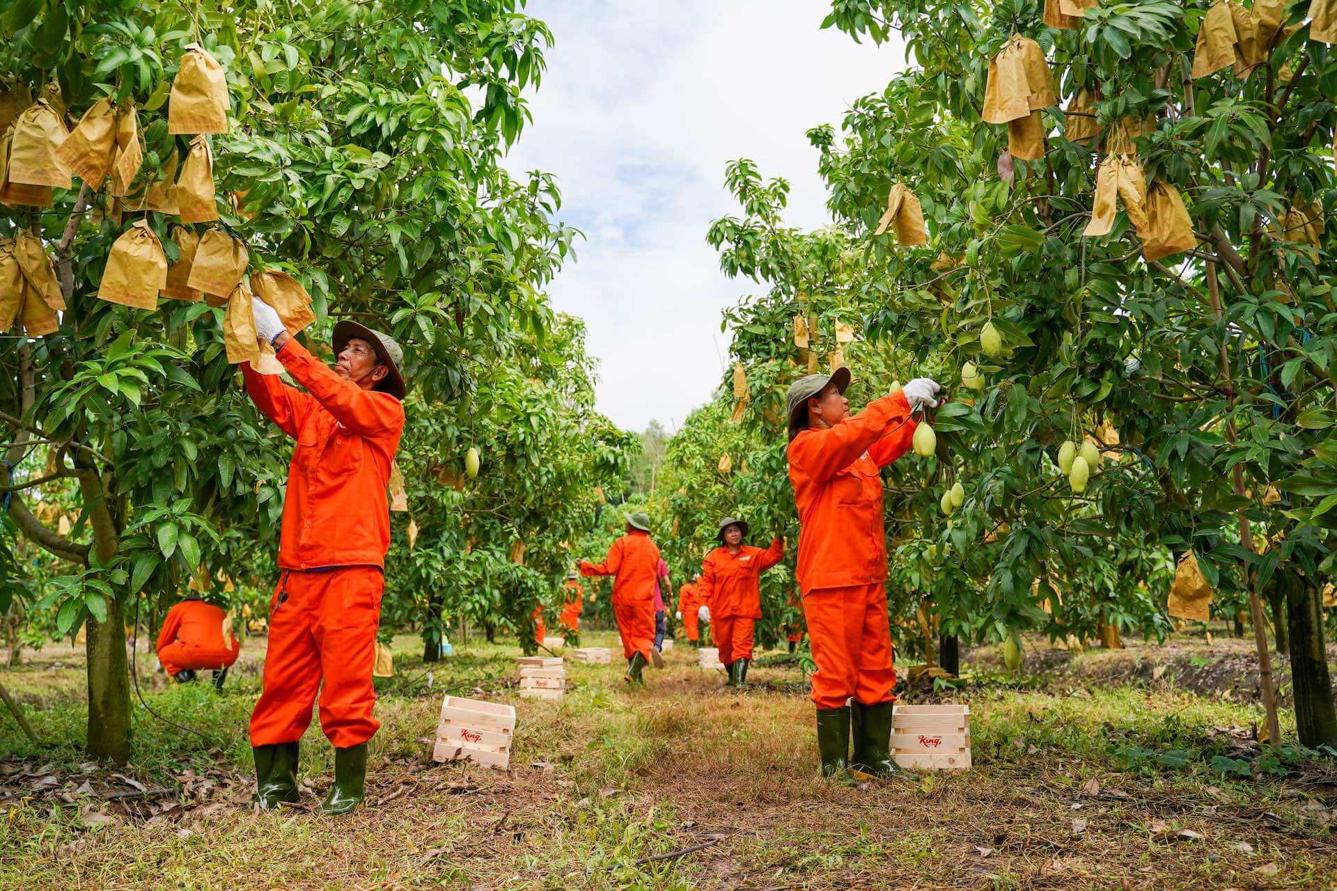 THÔNG ĐIỆP TỪ CHÚNG TÔI
