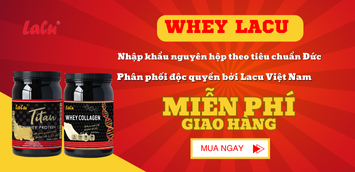 Phục hồi cơ
