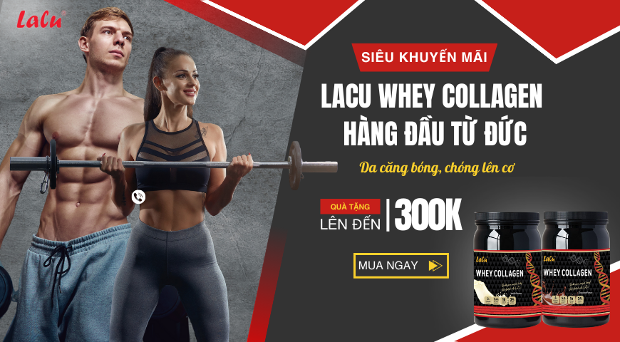 Sản phẩm nổi bật