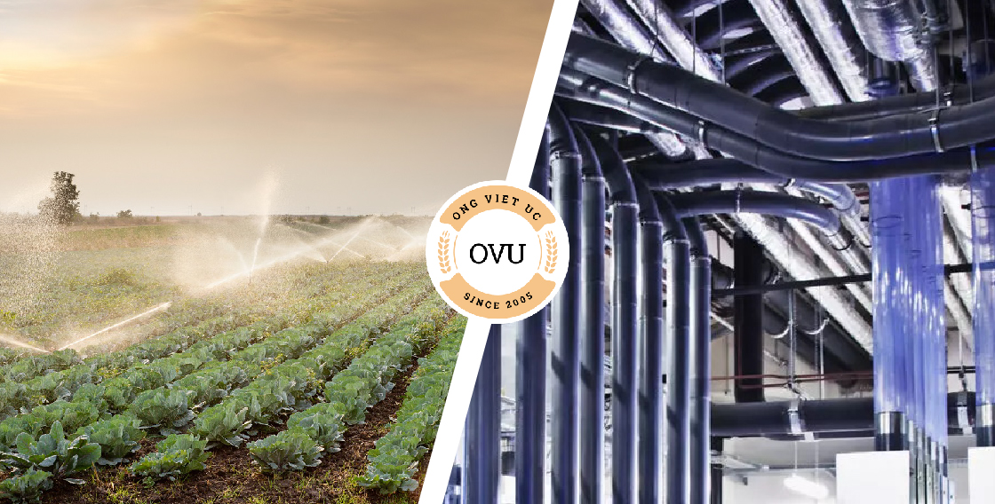 Ứng dụng linh hoạt trong nhiều lĩnh vực