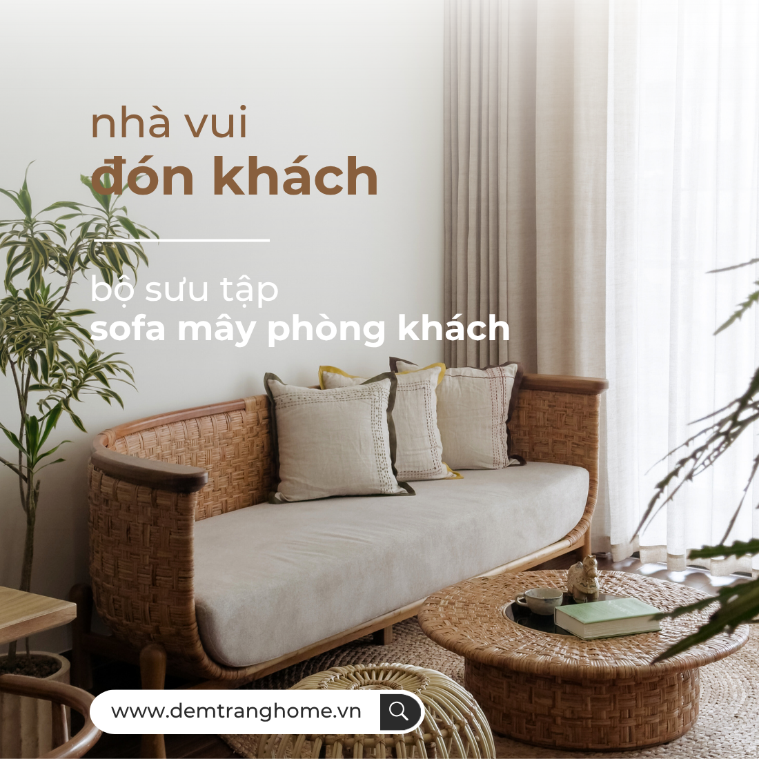 Sofa mây collection