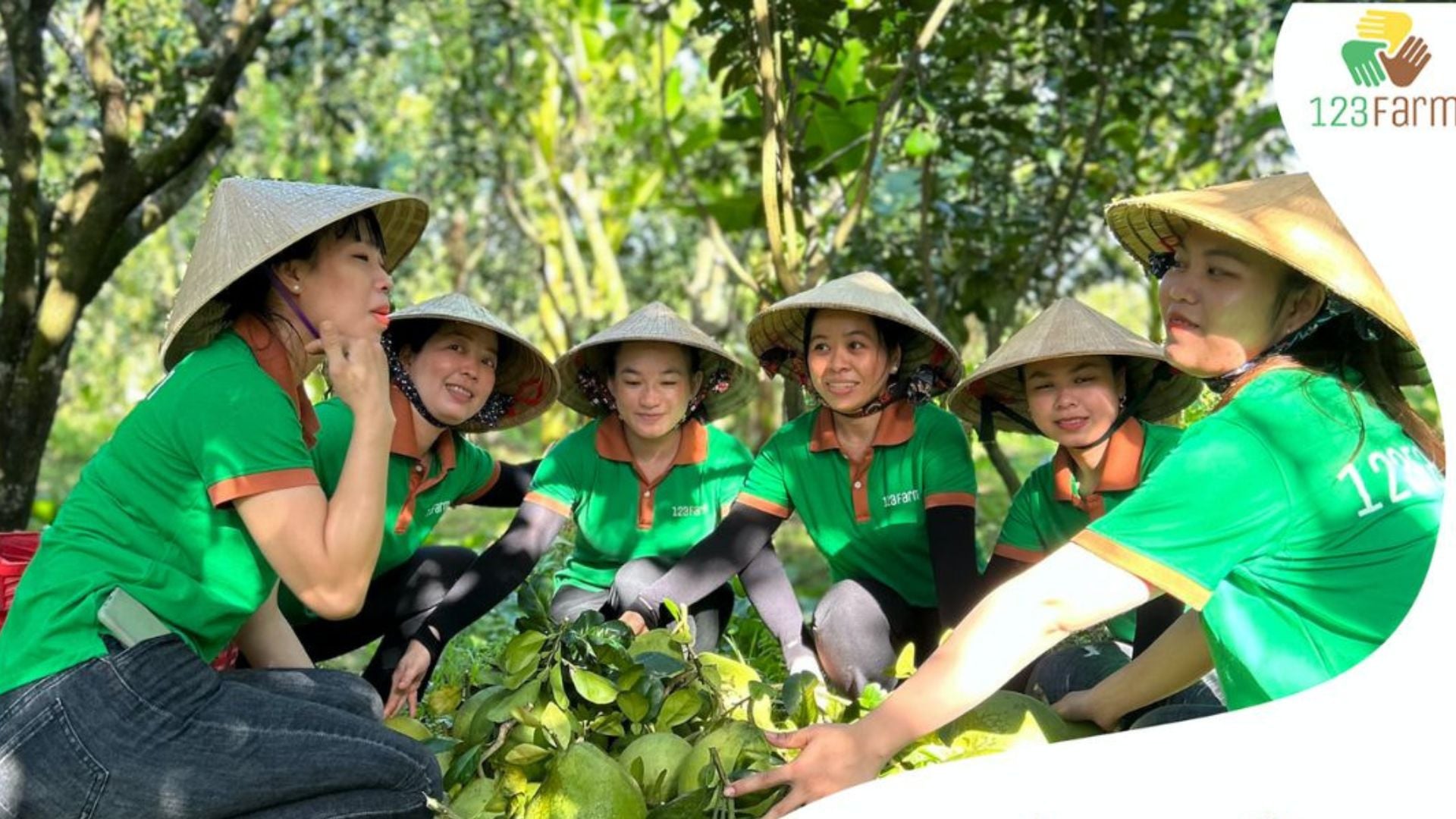 Tin T c 123 Farm VN tin-t-c-123-farm-vn