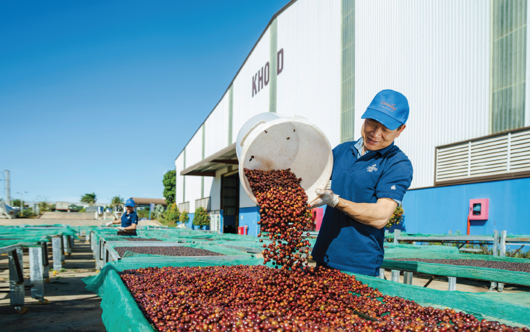 Mỗi hạt cà phê – một hành trình chăm chút