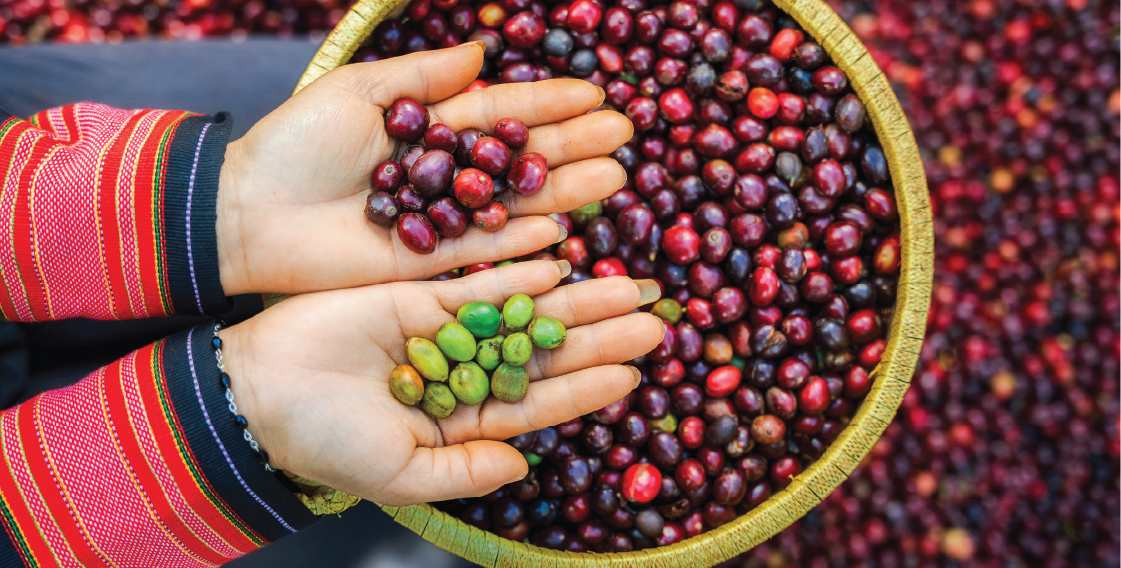 Hữu cơ - Hơn cả một chứng nhận