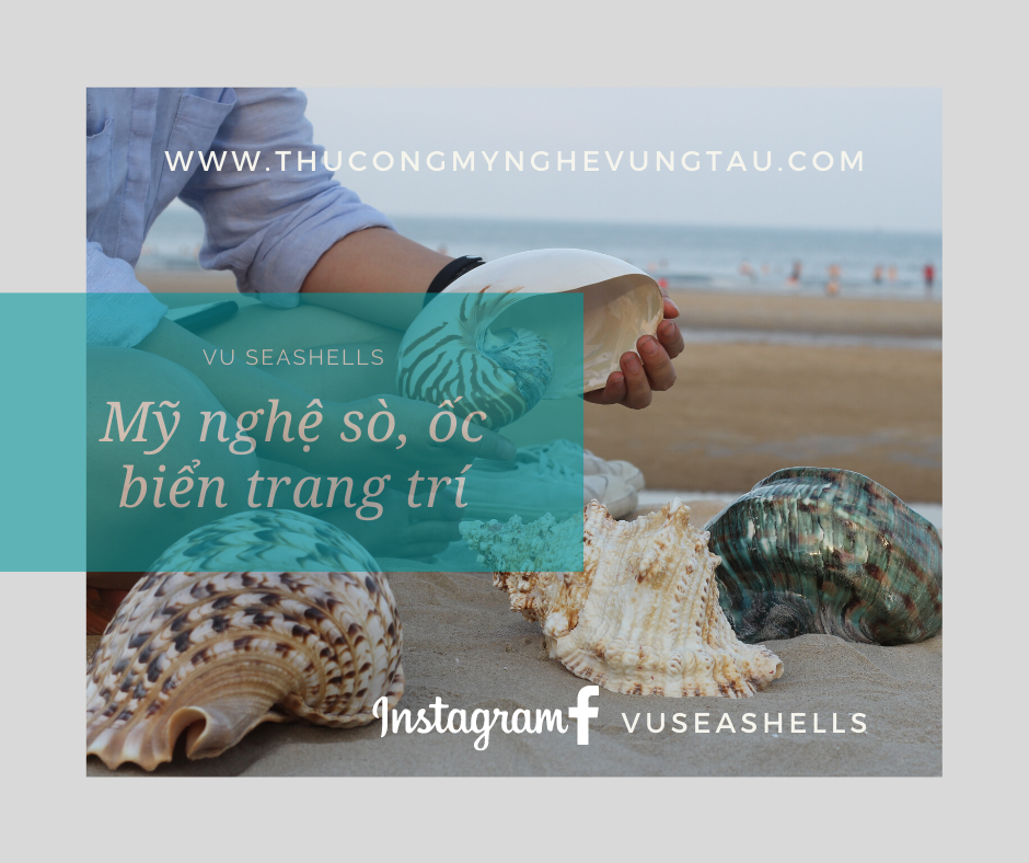 Vu Seashells - Mỹ Nghệ Vỏ Sò, Ốc Biển Thanh Thêm