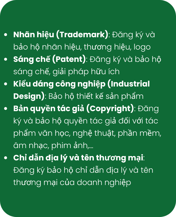 Tư vấn bảo hộ <br> quyền sở hữu trí tuệ