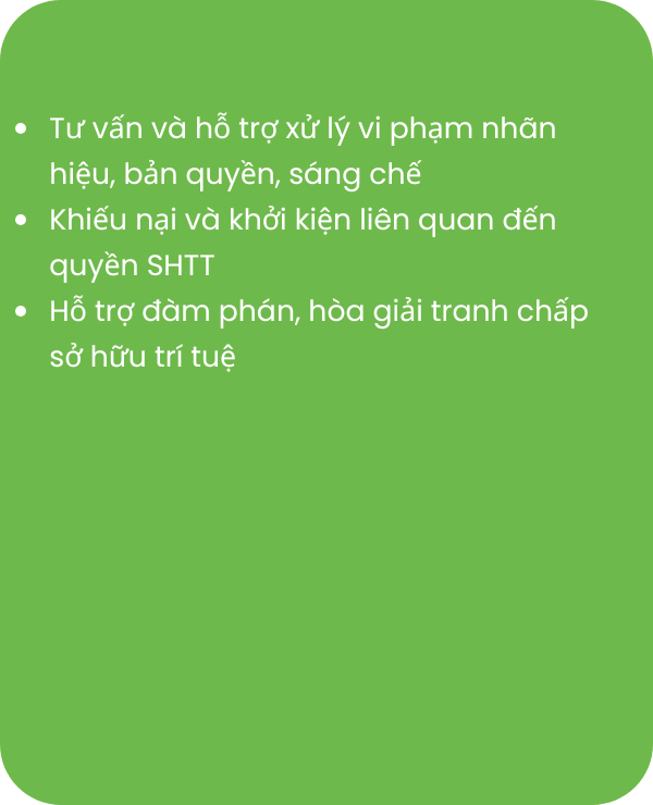 Giải quyết tranh chấp <br> thực thi quyền SHTT
