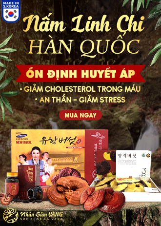 Nấm Linh Chi Hàn Quốc