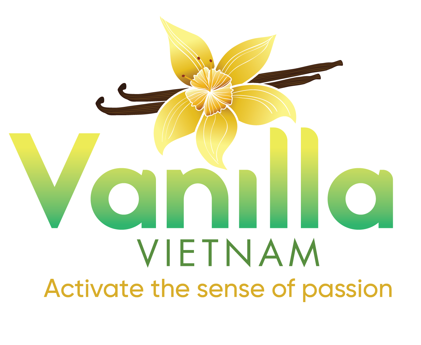 Vanilla Viet Nam