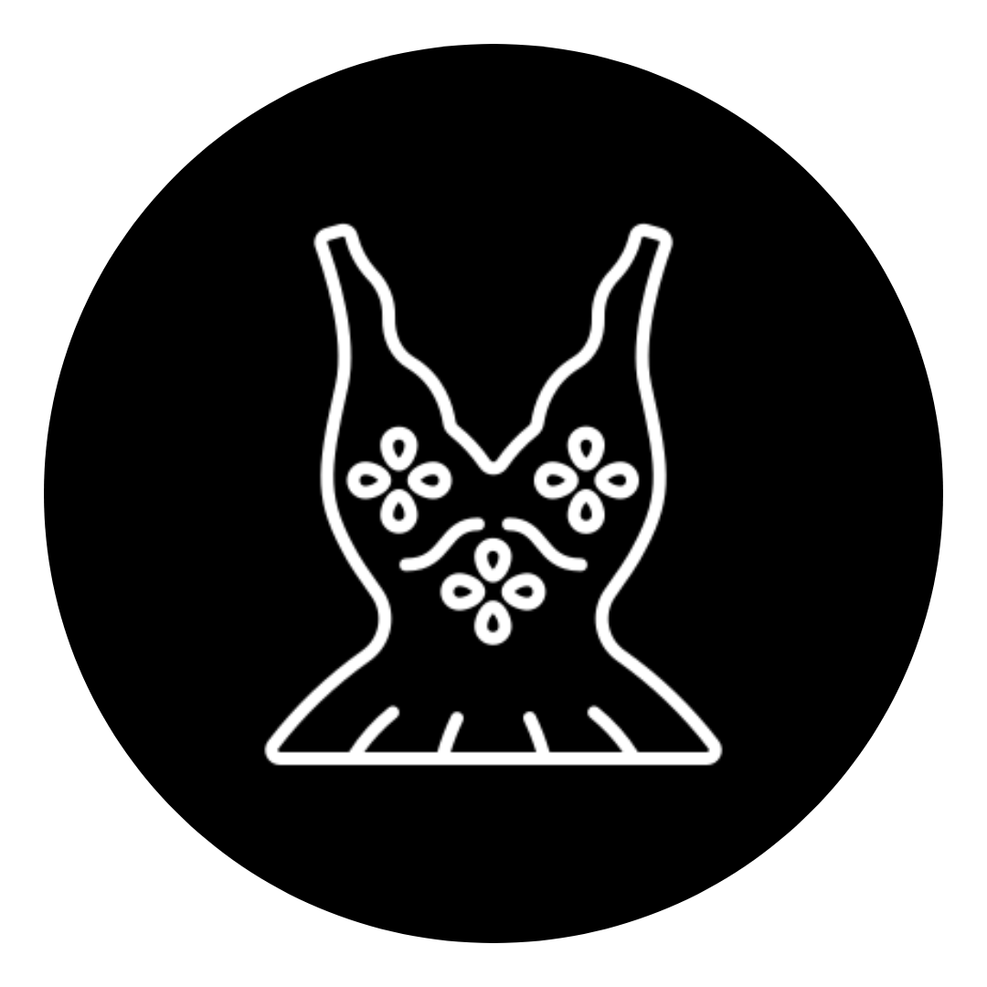 Áo 
