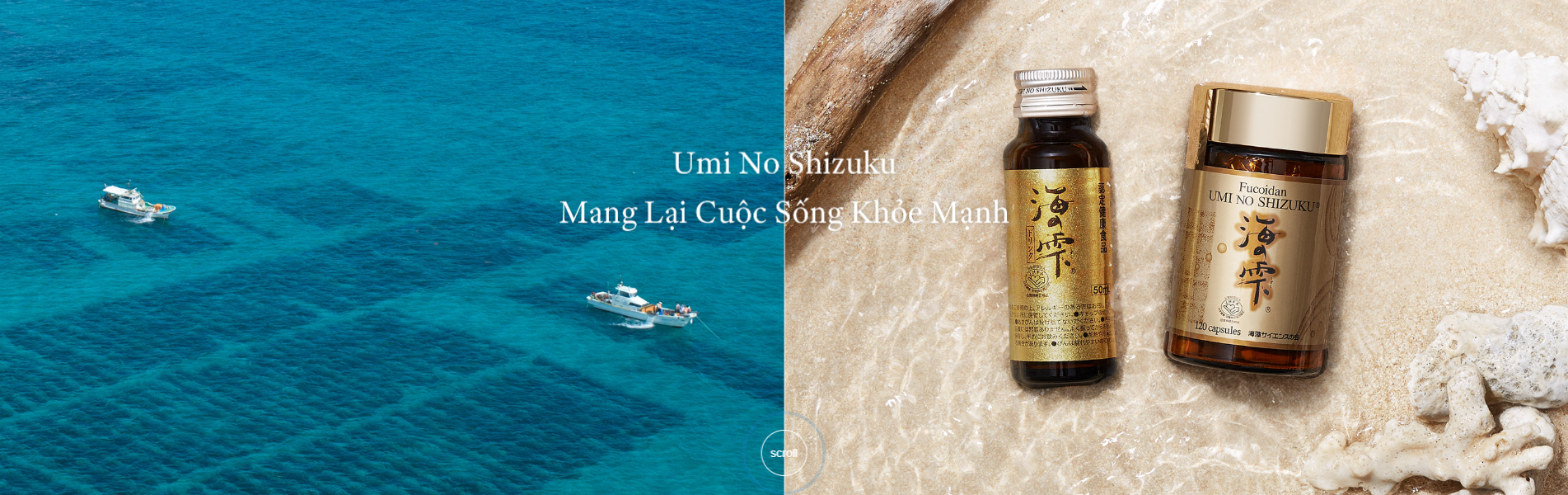 Món  Quà Từ Thiên Nhiên