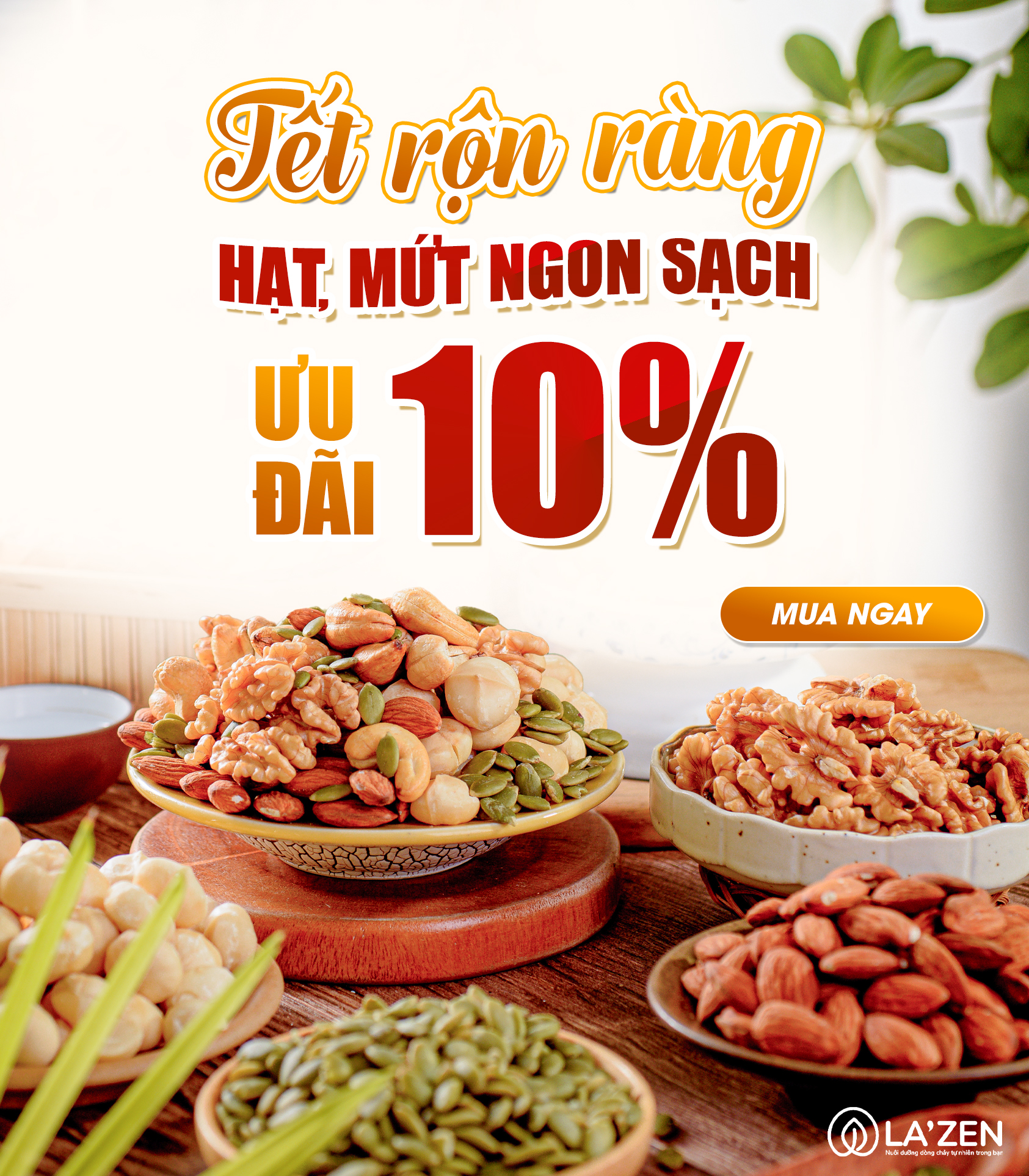 ƯU ĐÃI 10% HẠT