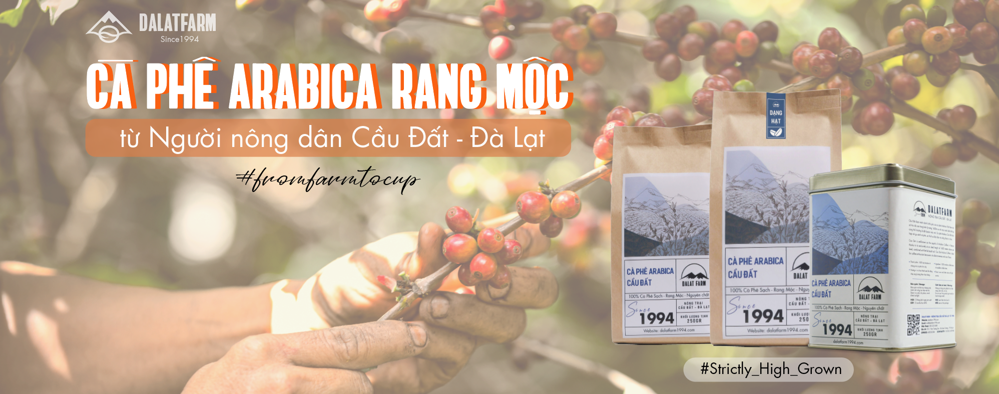 Cà Phê Arabica Cầu Đất