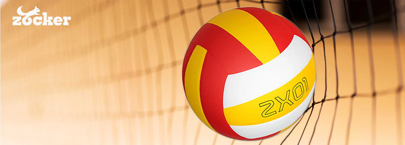 Tư vấn Bóng chuyền