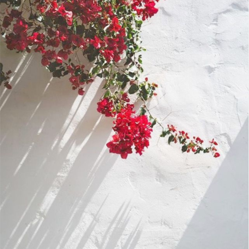 Thời trang Linen - Đầm linen, váy linen, áo linen, quần linen