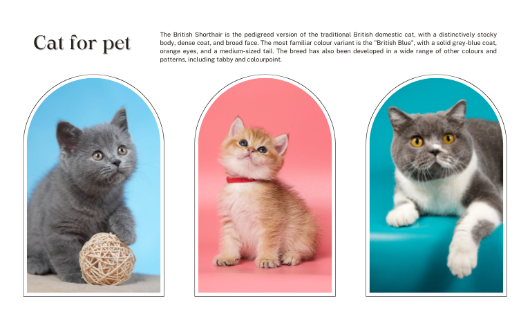 SẢN PHẨM ĐẶC BIỆT