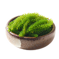 coll_1_title
