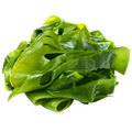 coll_3_title