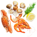 coll_6_title
