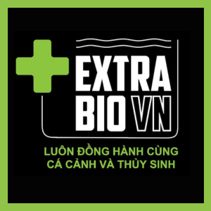 Thương hiệu 7