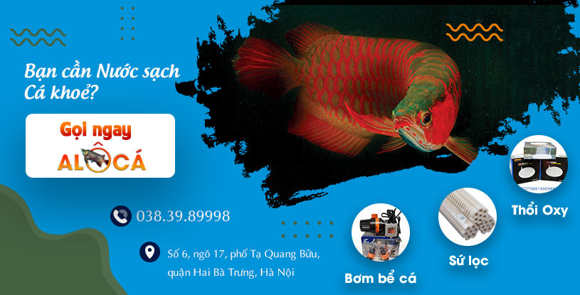 Banner slider