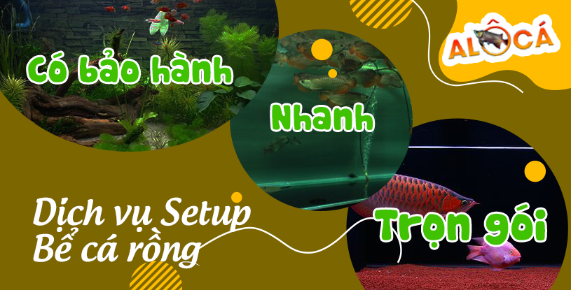 Banner slider