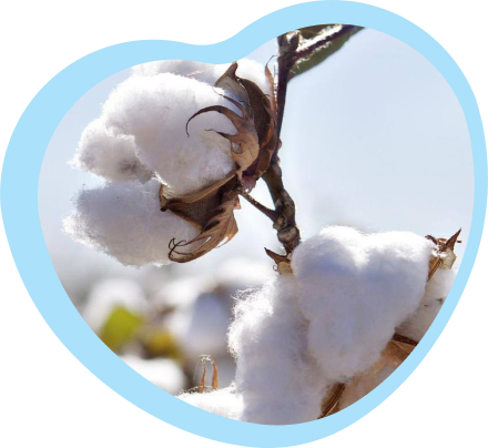 Why choose organic cotton?
