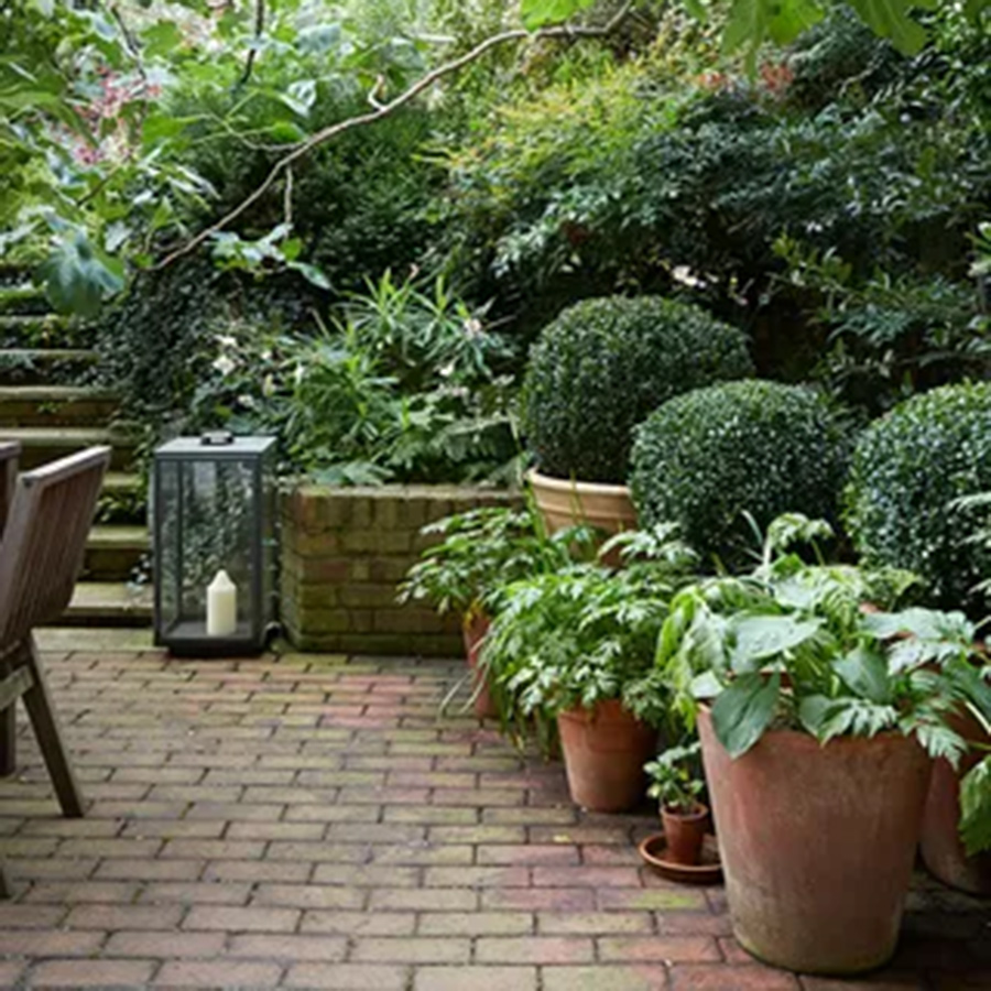 Aurora Pots products suitable for gardens