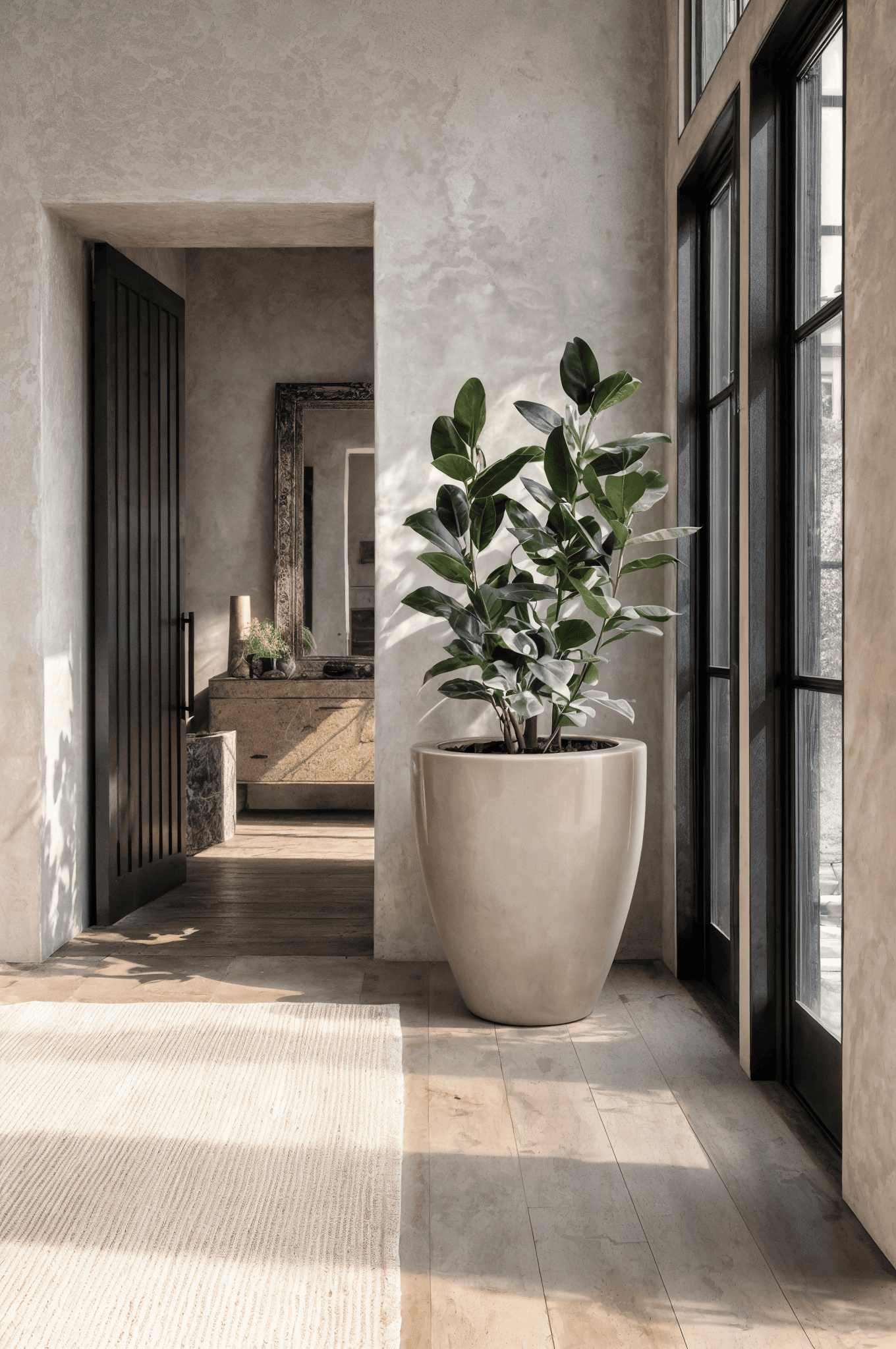 Indoor plant in a tall neutral planter placed near black framed windows in a modern house entryway
