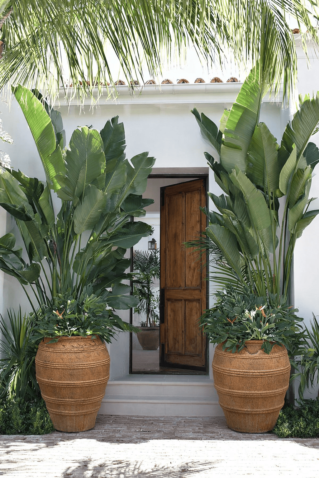 Classic ceramic urn planters with tall evergreen trees placed symmetrically at a garden doorway