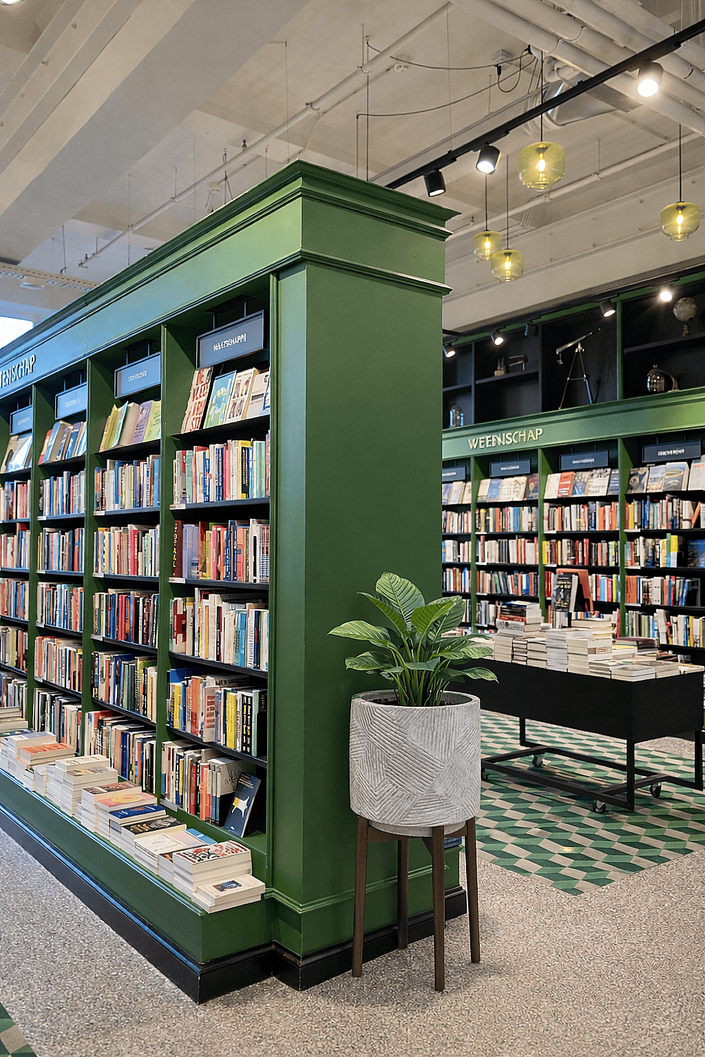 Textured decorative planter with indoor plant placed beside bookshelves inside a modern bookstore library interior