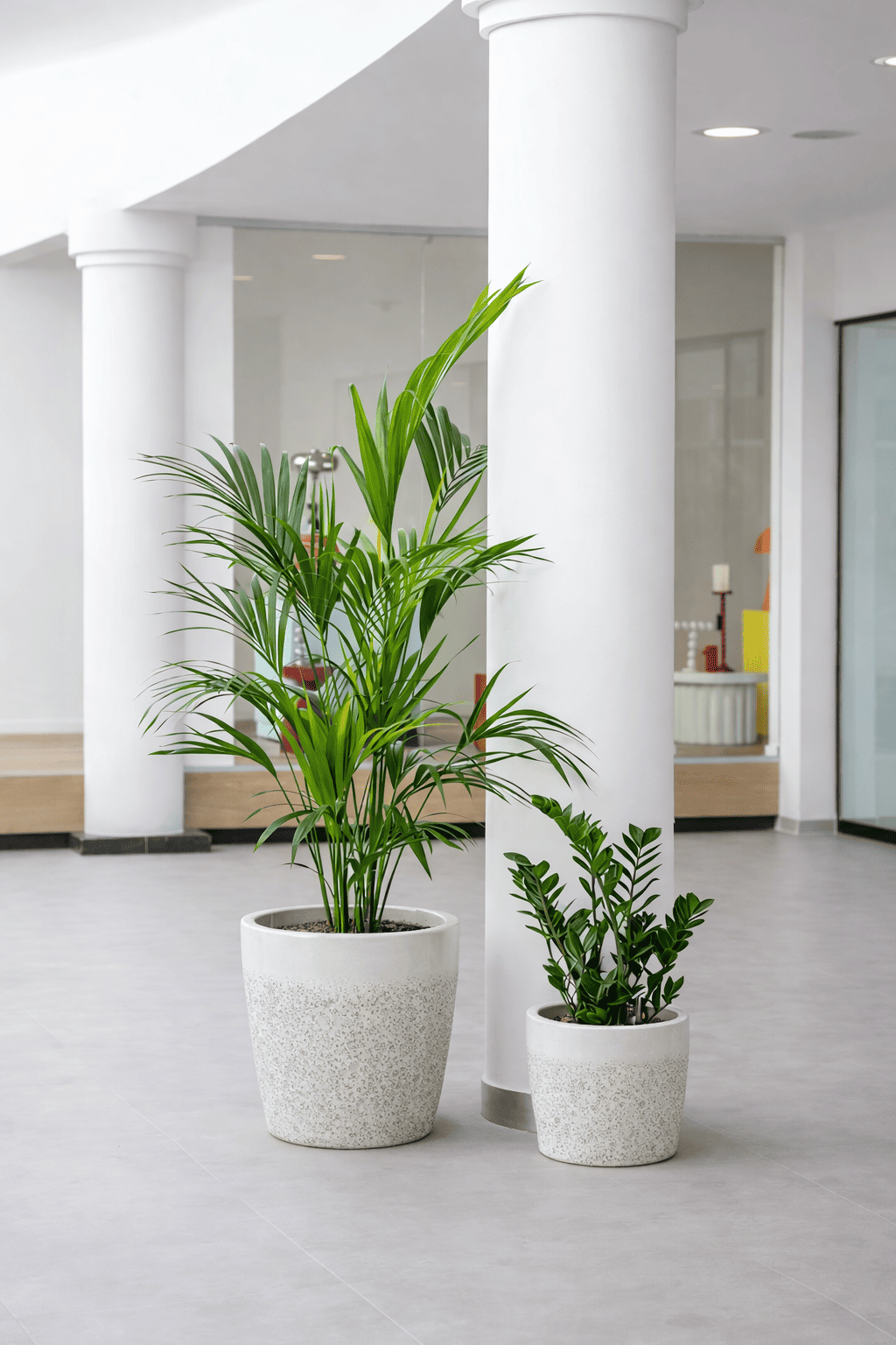 Textured ceramic round planter with indoor palm plants positioned in a bright office interior with white columns