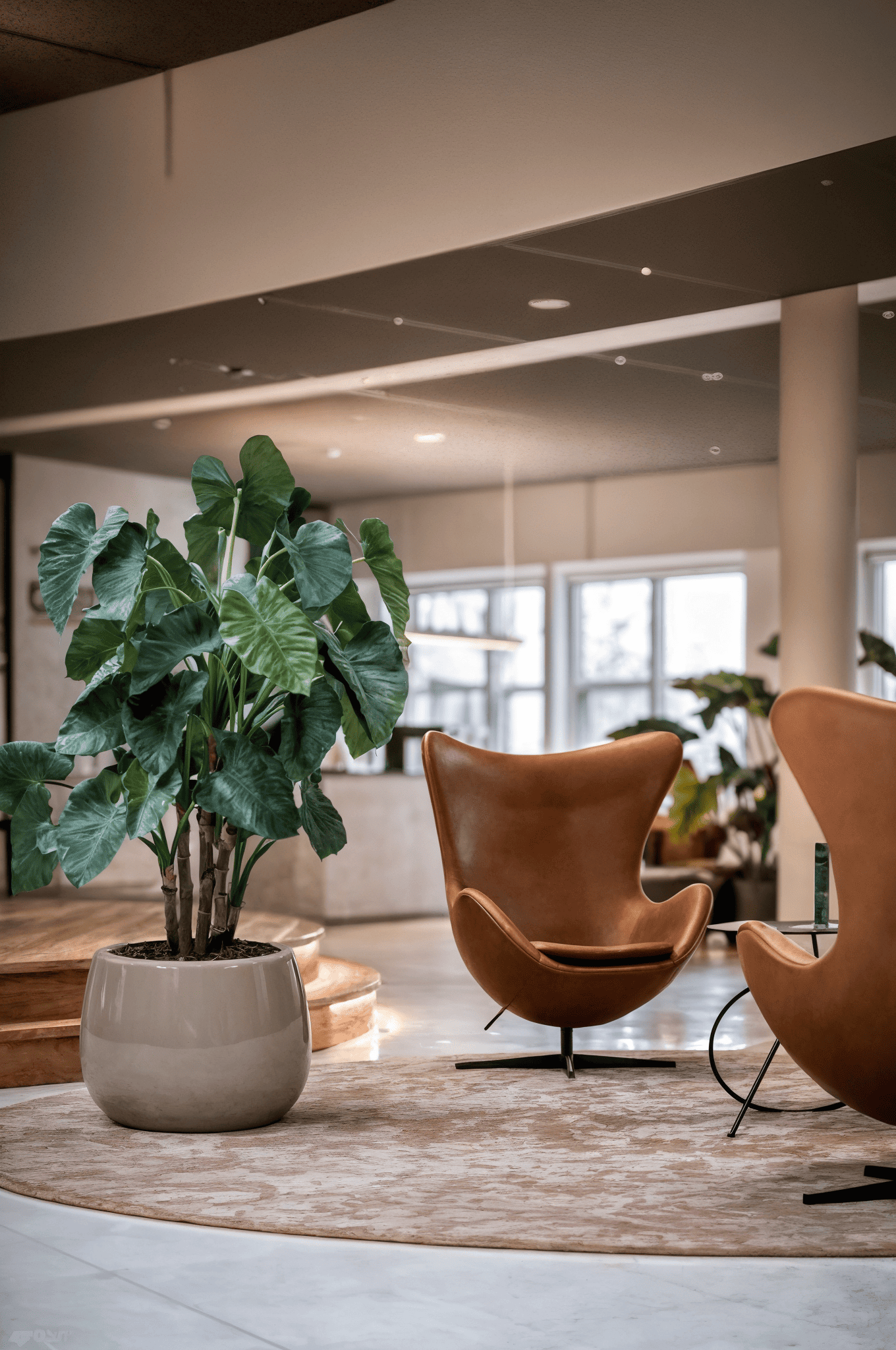 Glossy grey round planter with indoor plants placed in a minimalist office interior