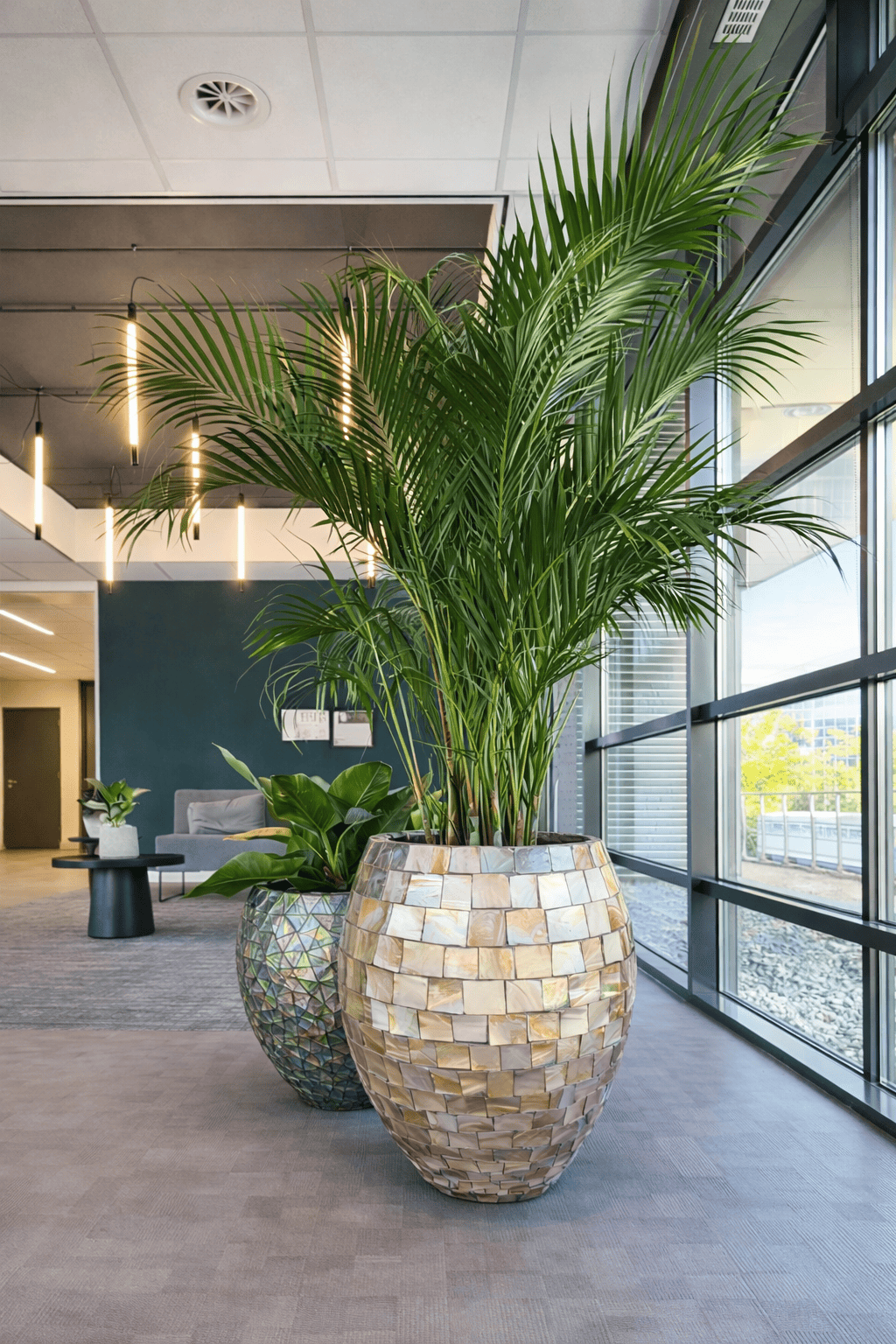 Mother of pearl mosaic planter with a tall palm plant placed near floor to ceiling windows in a modern office lobby