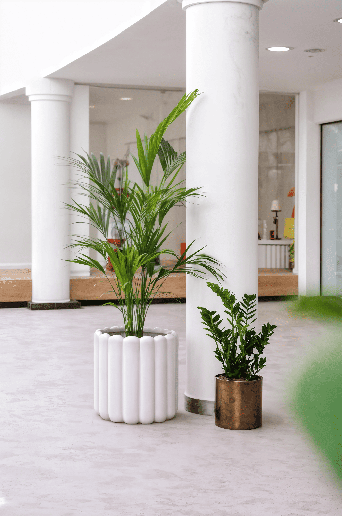 Rustic round planter with indoor greenery placed in a contemporary office interior