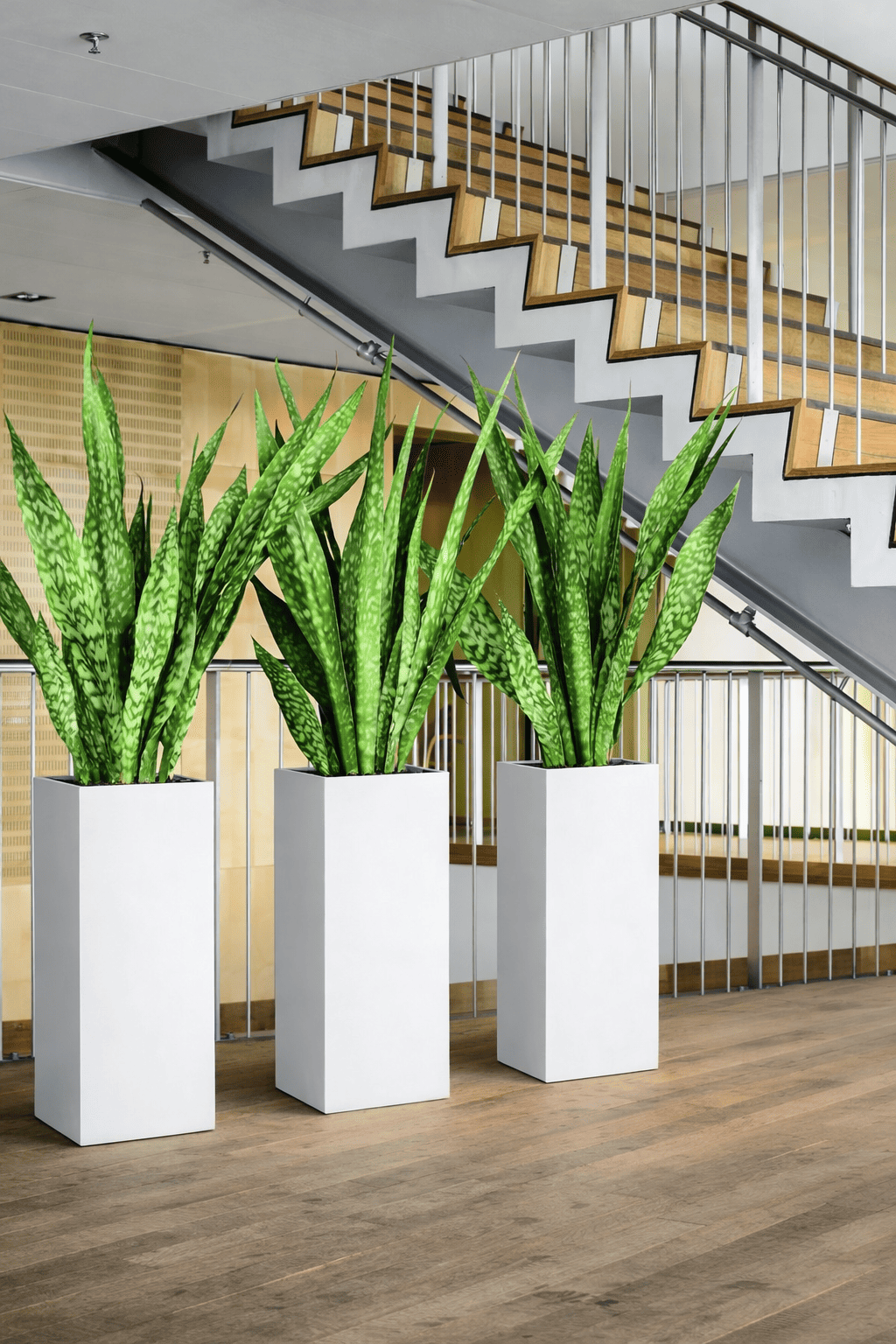 Tall white square planters with snake plants positioned near a staircase in a modern office building interior