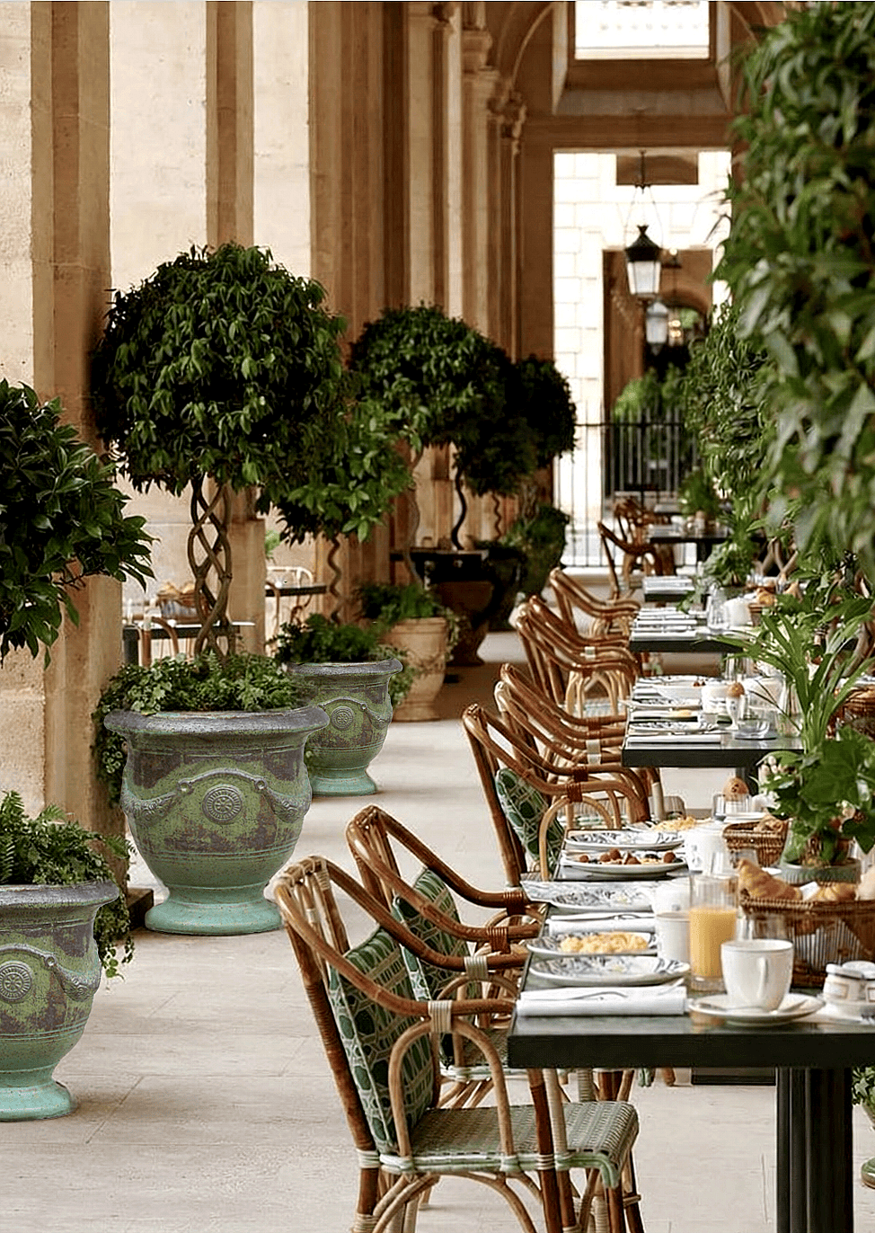 Classic ceramic urn planters with ornamental trees arranged along a covered outdoor restaurant terrace