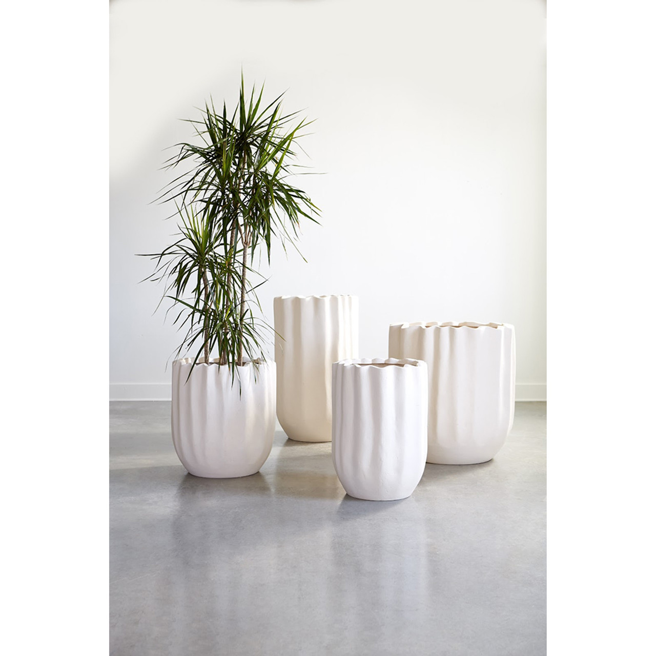 Aurora Pots