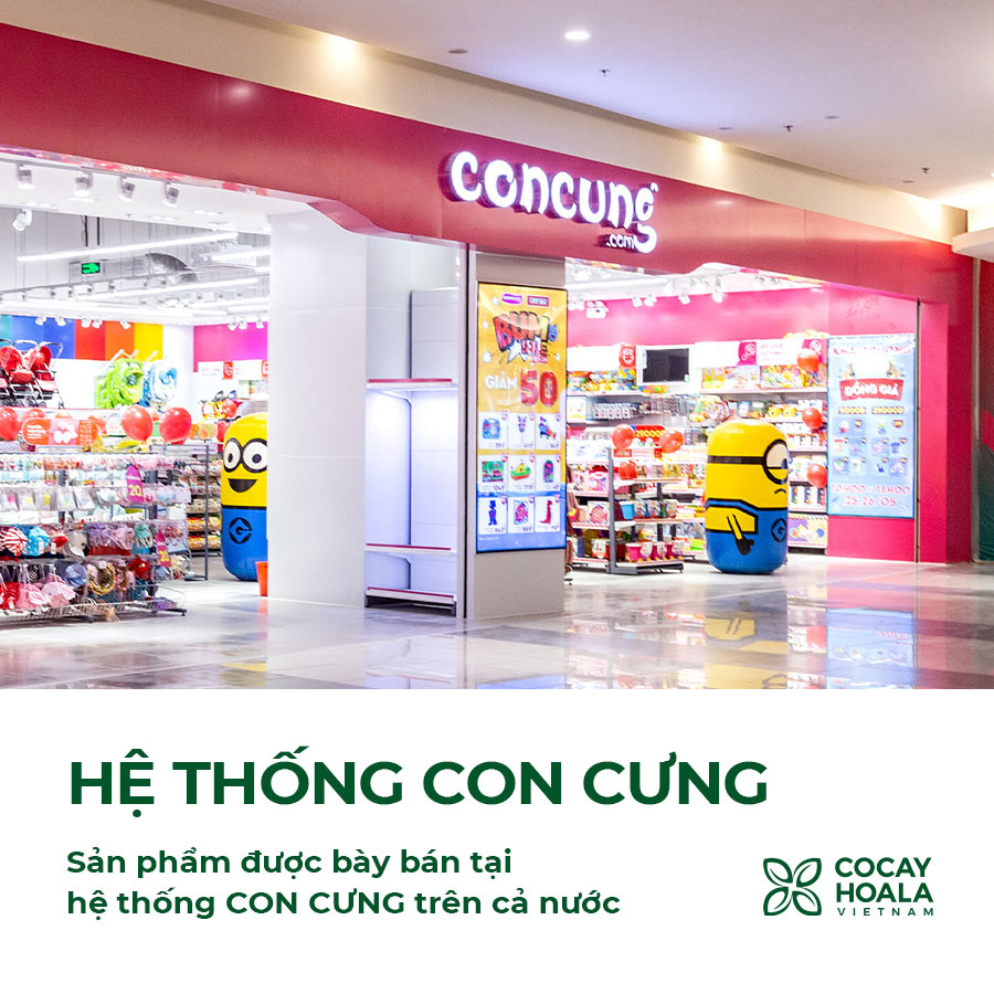 Con Cung store system