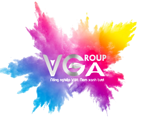 VGA Group