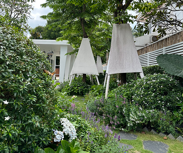 Oxi House - Thiết kế thi công cảnh quan sân vườn