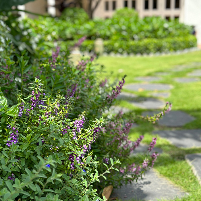 tại sao chọn oxi house