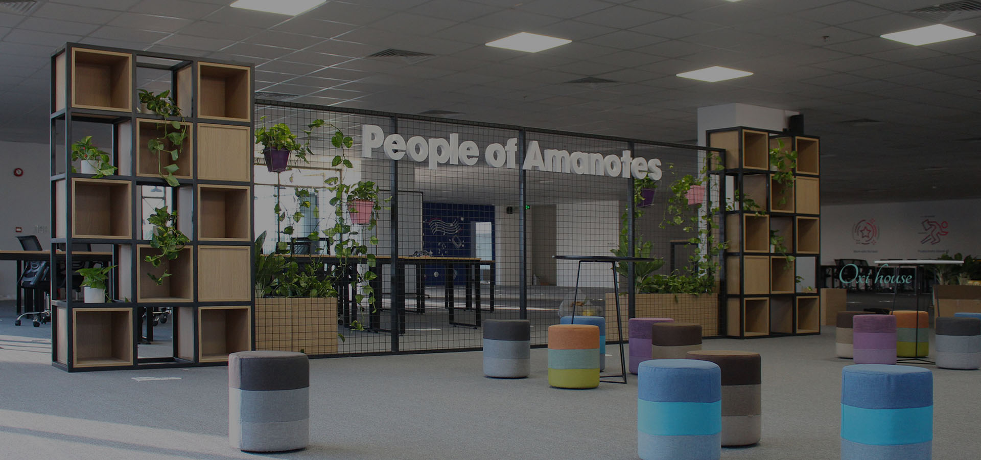 CHO THUÊ CÂY XANH VĂN PHÒNG