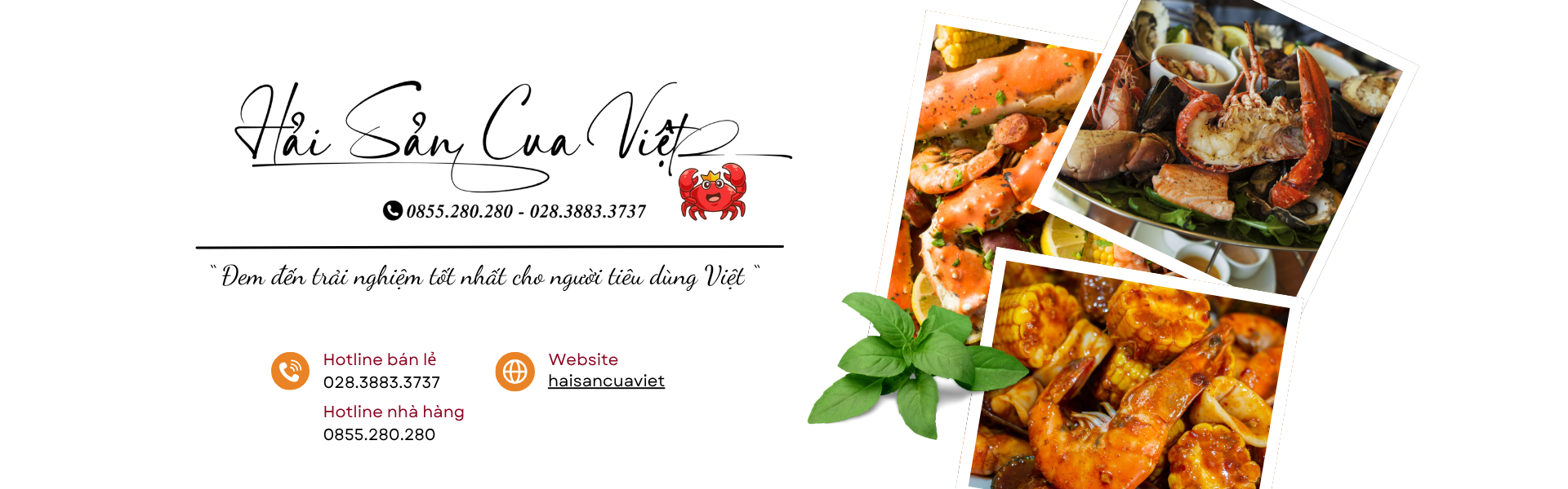 Sản phẩm nổi bật