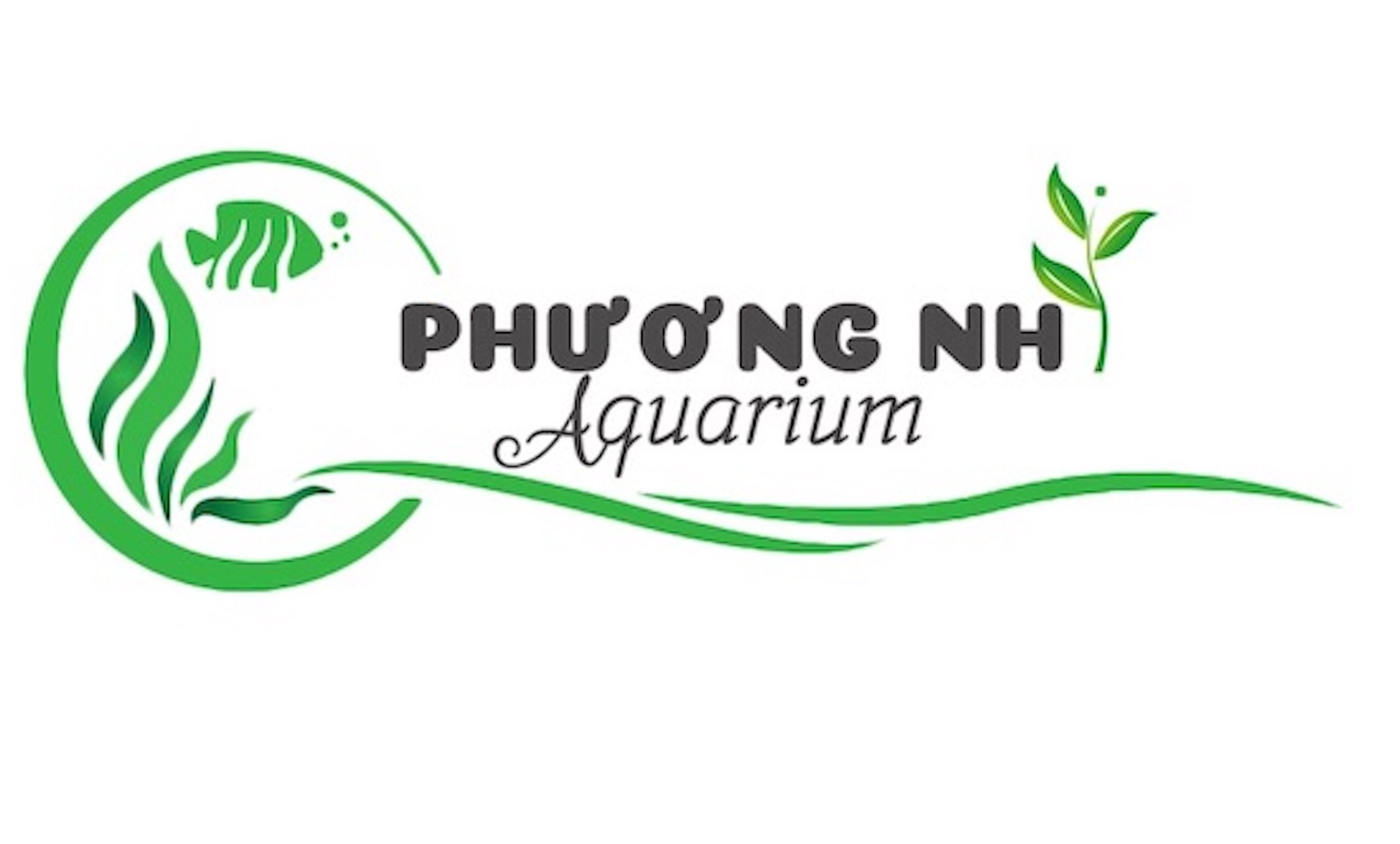Cây thuỷ sinh Lệ nhi-phương nhi aquarium