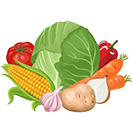 tất cả sản phẩm bio ngon