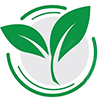Cửa hàng rau củ hữu cơ online